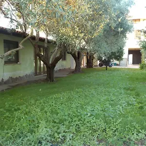 'suite' Gli Ulivi Dei Nonni Iun P3279 Casa vacanze Ollastra